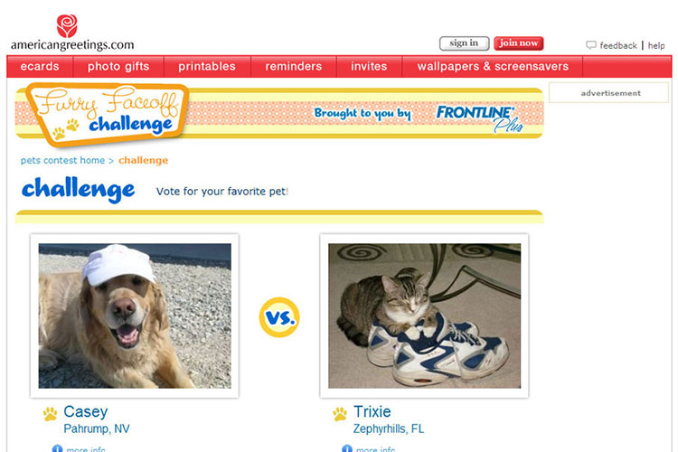 American Greetings Interactive Pet Contest