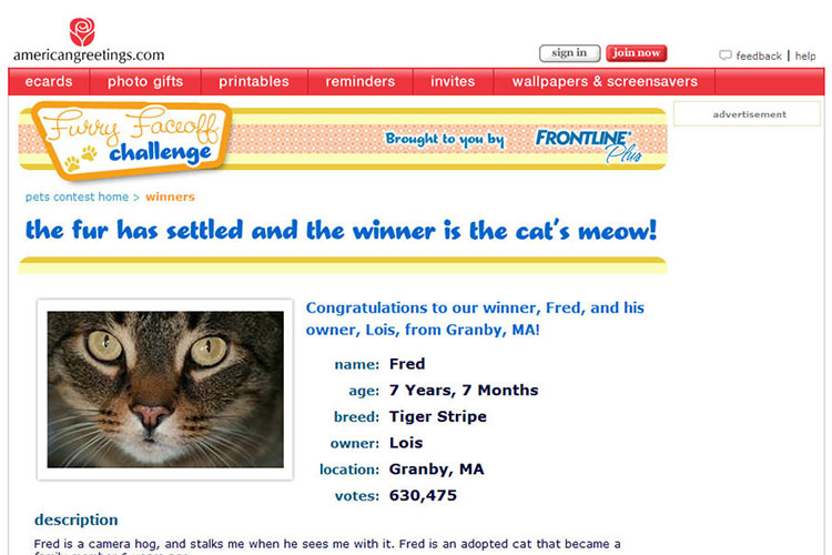 American Greetings Interactive Pet Contest